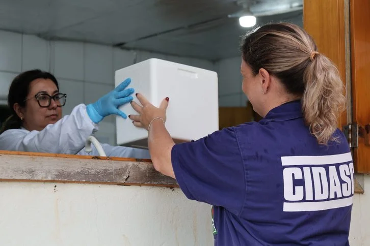 Terceiro foco da doença de Newcastle é confirmado no Oeste de SC e amplia vigilância sanitária