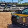 PRF realiza leilão de mais de 2 mil veículos em Santa Catarina