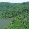 No Junho Verde, Governo do Estado destaca projetos e ações que impulsionam o desenvolvimento sustentável de Santa Catarina